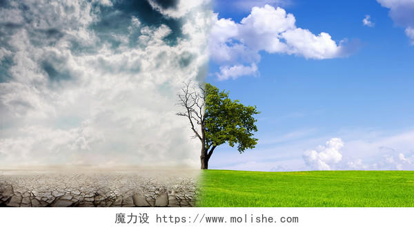 绿色小清新天空云朵树木草地环境对比保护环境展板背景